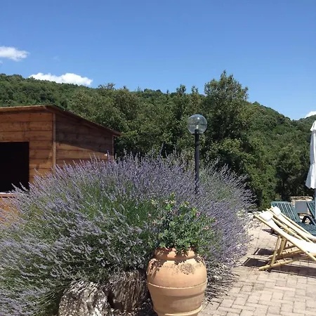 Aparthotel Podere La Castellina *