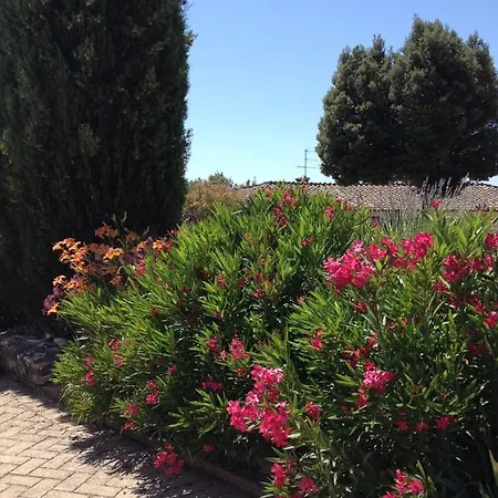 Podere La Castellina Hotel apartamentowy *